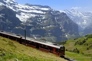 Images Dated 24th January 2000: Train for Jungfraujoch