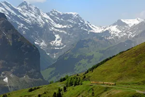 Images Dated 24th January 2000: Train from Kleine Scheidegg on route to Wengen