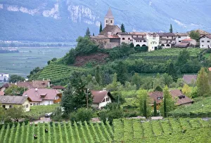 Hill Town Prints: Traminer, the town that gave its name to Gewurztraminer wine