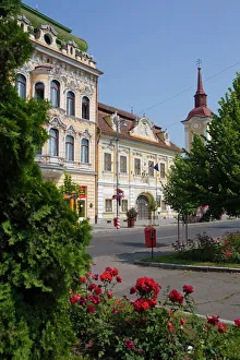 Flowers Prints: Trandafirilor square, Targu Mures, Transylvania, Romania, Europe