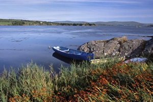 County Cork Prints: Tranquil Bay and boat near Adrigole