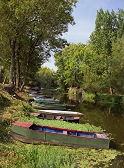 Pays De La Loire Prints: Tranquil scene of boats moored on the banks at Pont St. Martin, Loire Atlantique
