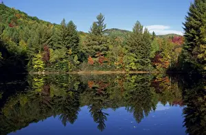 Jackson Prints: Tranquil scene of trees in autumn (fall) foliage reflected in a lake