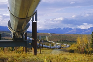 Intersecting Prints: Trans Alaska oil pipeline across taiga through Alaskan