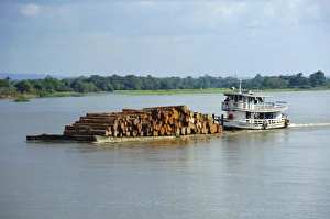 Pulling Prints: Transporting logs on the Curua-Unn River, near Amazon, Brazil, South America