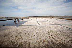 Trapani Prints: Trapani salt beds, Sicily, Italy, Mediterranean, Europe