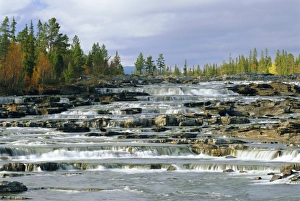 Forestry Prints: Trappstegforsarna Waterfalls