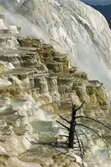 Travertine Prints: Travertine calcite deposits on the Canary Spring terraces
