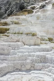 Geothermal Gallery: Travertine terraces in Mammoth hot springs terraces, Yellowstone National Park