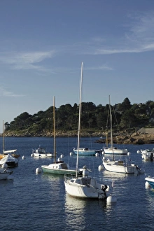 Cotes Darmor Prints: Trebeurden harbour, Cote de Granit Rose, Cotes d Armor, Brittany, France, Europe