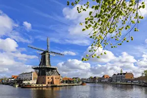 The Netherlands Prints: Tree branches frame the Windmill De Adriaan reflected in a canal of the River Spaarne