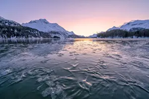 Engadine Prints: Tree branches trapped in ice under the frozen surface of Lake Sils at sunset, Engadine
