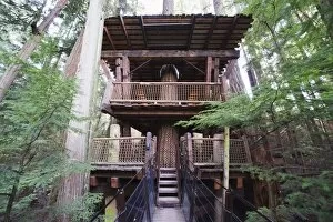 A tree house in Capilano Suspension Bridge and Park, Vancouver, British Columbia