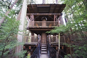 Images Dated 13th April 2009: A tree house in Capilano Suspension Bridge and Park, Vancouver, British Columbia