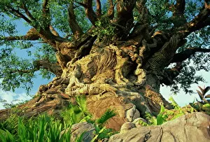 Wood Collection: The Tree of Life, Animal Kingdom, Disneyworld, Orlando, Florida, United States of America