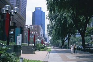 Avenue Prints: Tree lined avenue of shops and malls