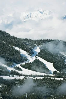 Images Dated 31st March 2009: Tree lined ski slopes, Whistler mountain resort, venue of the 2010 Winter Olympic Games