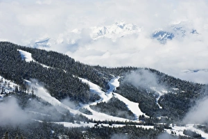 Images Dated 31st March 2009: Tree lined ski slopes, Whistler mountain resort, venue of the 2010 Winter Olympic Games