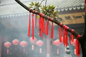 Tree with prayer ribbons, Jade Buddha Temple, Shanghai, China, Asia