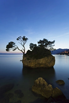 Tree on a rock in the sea, Brela, Makarska Riviera, Dalmatia, Croatia, Europe