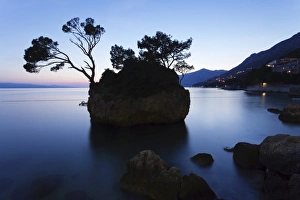 Brela Prints: Tree on a rock in the sea, Brela, Makarska Riviera, Dalmatia, Croatia, Europe