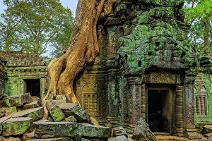 Old Ruins Gallery: Tree root on gopura entrance at 12th century temple Ta Prohm, a Tomb Raider film location