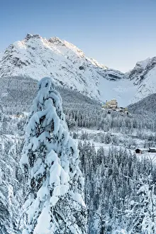 Trees covered with snow in the forest surrounding old Tarasp Castle and mountains