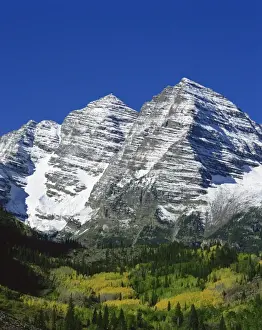 Maroon Bells Prints: Trees in fall colours below snow covered Maroon Bell Mountains, at Aspen