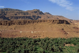 Oases Prints: Trees and fields below arid mountains