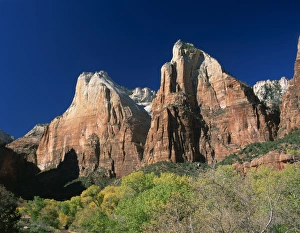 Zion Prints: Trees in golden fall colours below Abraham and Isaac