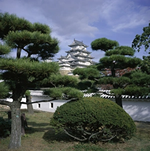 Himeji Prints: Trees in front of Himeji-jo (Himeji Castle)