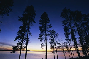Images Dated 5th September 2008: Trees and lake at sunset