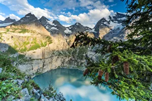 Bern Prints: Trees and pine cones framing Oeschinensee lake at sunset, Bernese Oberland, Kandersteg