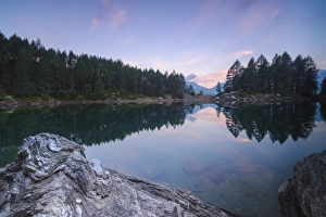 Sondrio Prints: Trees reflected in Lago Azzurro under pink sky at dawn, Motta Madesimo, Spluga Valley