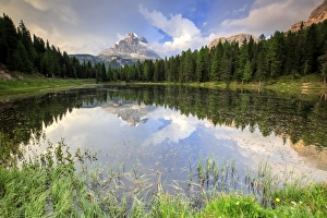 Auronzo Of Cadore Prints: Trees reflected in Lake Antorno at sunset, Auronzo of Cadore, Veneto Sesto Dolomites