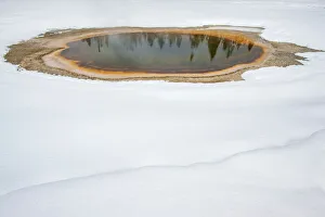 Hot Pool Prints: Trees reflected in thermal feature in the snow, Yellowstone National Park