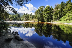 Trees reflecting in the water, Mirror Tarn, Oparara Basin, Karamea, West Coast, South Island, New Zealand, Pacific