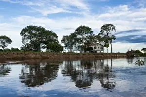 Trees reflecting in the water in a river in the Pantanal Conservation Area, UNESCO World Heritage Site, Brazil, South America
