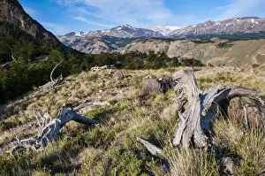 South American Latin America Prints: Trek up to Mount Fitzroy from the Unesco world heritage sight El Chalten