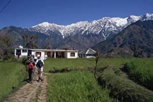 Walkers Prints: Trekkers, Dhaula Dhar range, western Himalayas, India, Asia