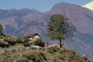 Himalaya Prints: Trekkers on the trail to Ghoropani Pass from Tatopani