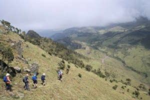 Step Prints: Trekking to Chenek, Simien Mountains National Park, UNESCO World Heritage Site