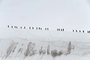 South Pole Prints: Trekking to top of glacier, Neko Harbour, Antarctic Peninsula, Antarctica, Polar Regions