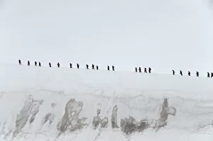 Trekking to top of glacier, Neko Harbour, Antarctic Peninsula, Antarctica, Polar Regions