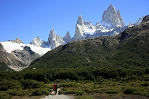The Great Outdoors Prints: Trekking under Monte Fitz Roy, El Chalten, Argentine Patagonia, Argentina, South America
