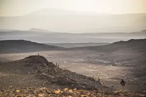 North Chile Prints: Trekking at sunset in Cactus Valley (Los Cardones Ravine), Atacama Desert, North Chile