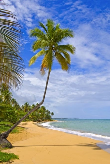 Tres Palmitas Beach, Puerto Rico, West Indies, Caribbean, Central America