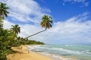 Tres Palmitas Beach, Puerto Rico, West Indies, Caribbean, Central America