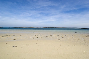 Scillies Prints: Tresco, Isles of Scilly