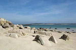 Images Dated 6th January 2000: Tresco, Isles of Scilly, off Cornwall, United Kingdom, Europe